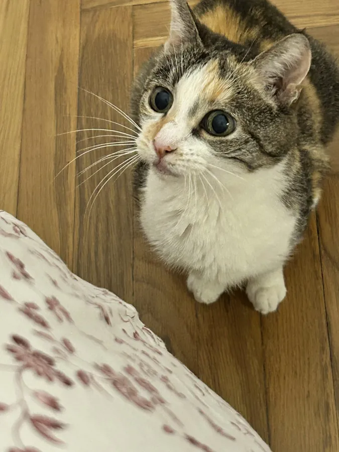 Stellina che guarda in su