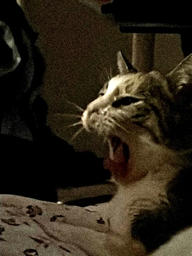 Stellina che spalanca la bocca al buio